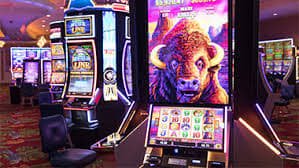 v8bet